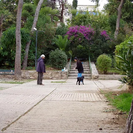 Homestay Work Or Vacation In Shared Athens