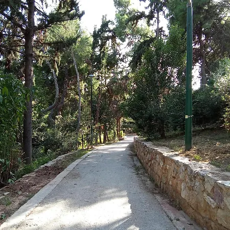 Homestay Work Or Vacation In Shared Athens